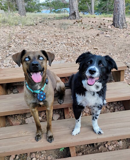 Archie and Monty