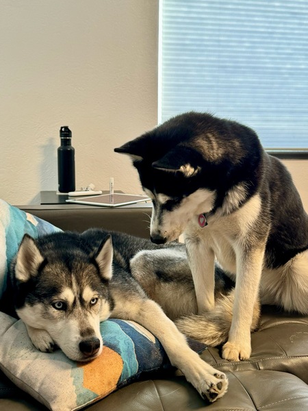 Bella and Boone