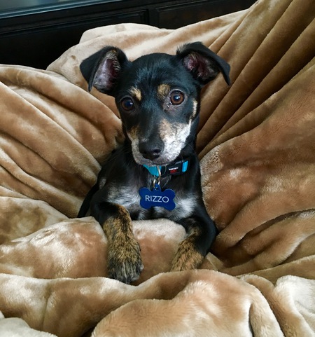 Rizzo
