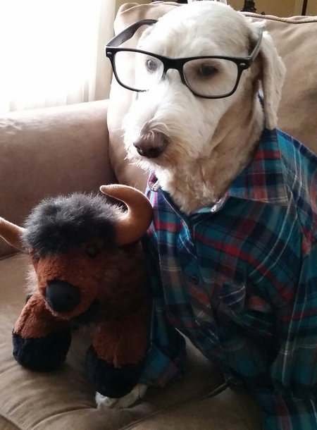 Homer- The Hipster- Plays with toys you probably haven't heard of 