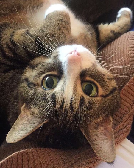 Millie - NAHS Alum!