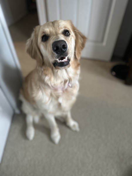Rosie