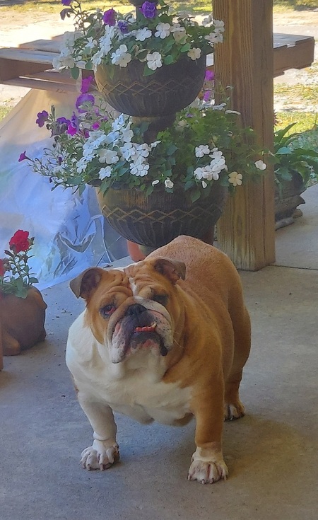 Fiona