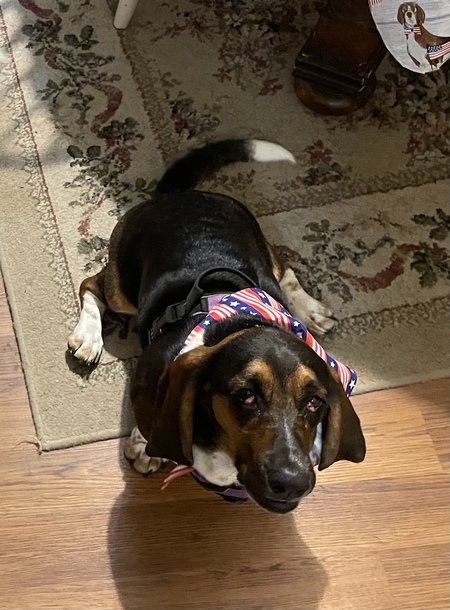 Mabel