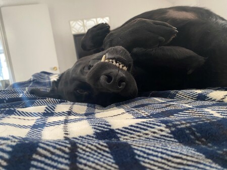 Rhaegar Simmerok