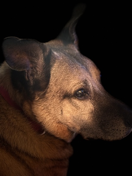 Rio