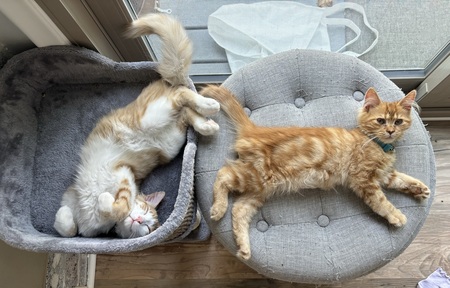 Fish & Milton