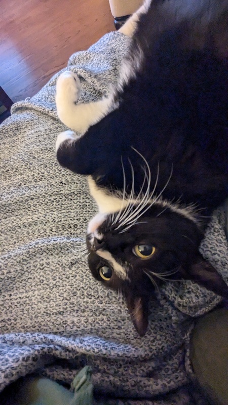 Dee