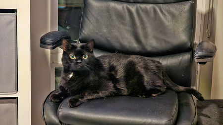 Gilbert
