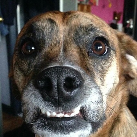 Bailey