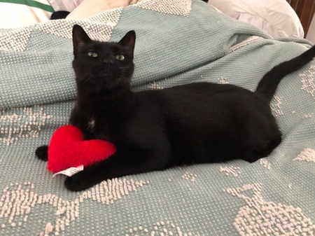 Salem