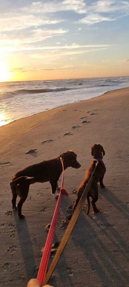 Danja & Jerry