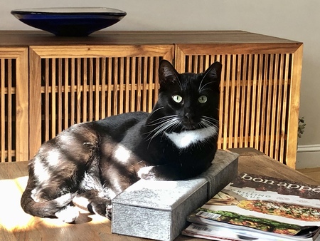 Remy