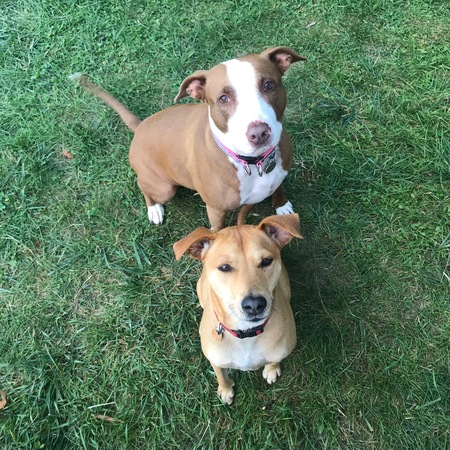 Estrella and Navio