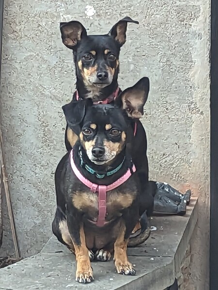 Izzy & Frida