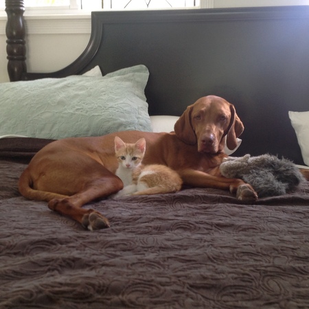 Scout & Luigi