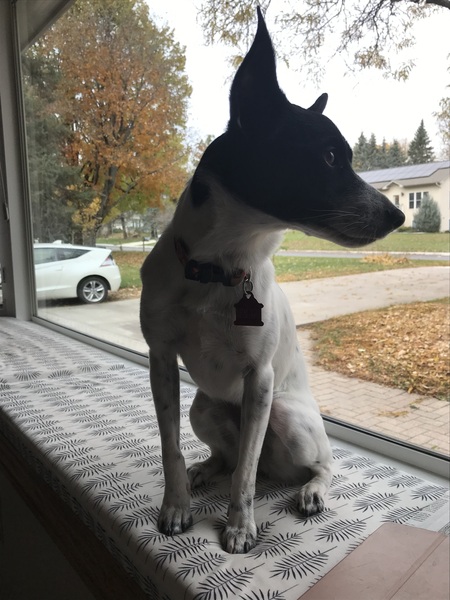 LUNA