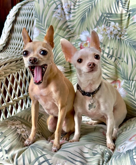 Rubi & Dulce
