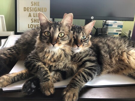 Rita and Joey