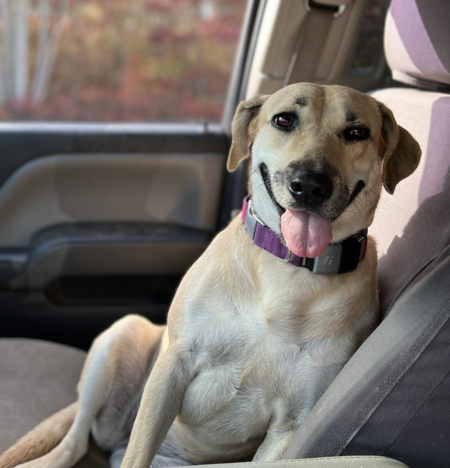 Sammy