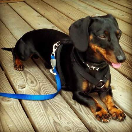 Max