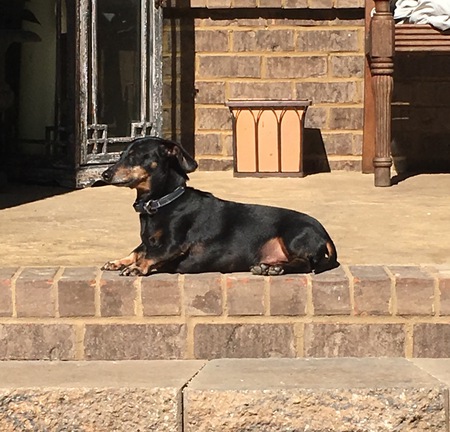 Oscar