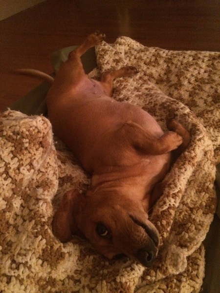 Charlie