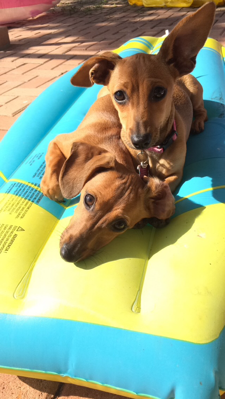 Minnie and Marlin