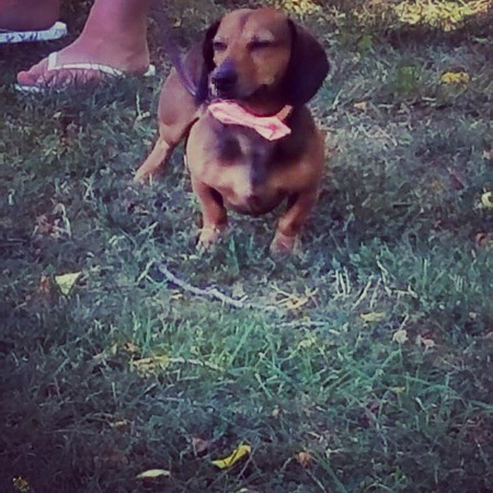 Gus