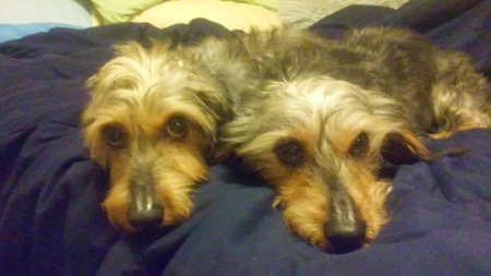 Bo and Charlie 