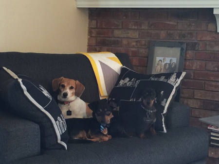 Sookie, Maddy and Gus