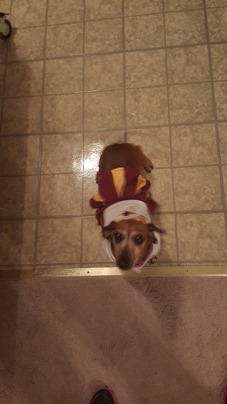 Molly