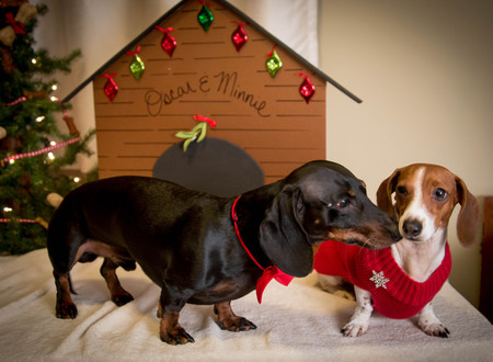 Minnie and Oscar