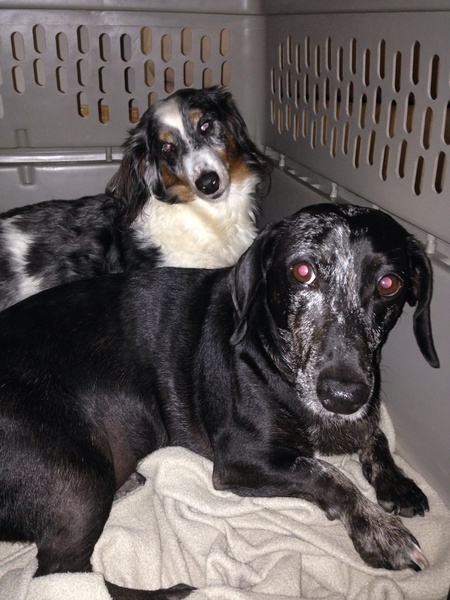Baxter & Coal