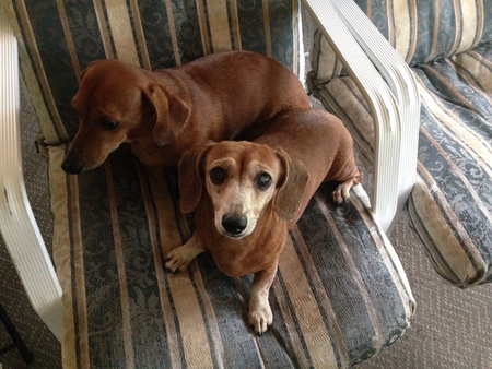Rusty & Tanner