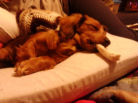 Sookie
