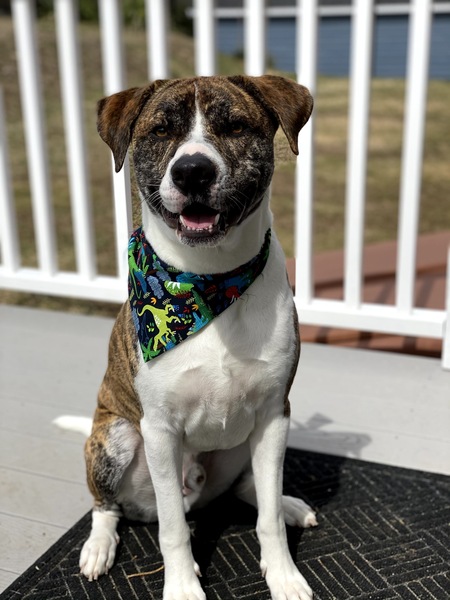 Tito