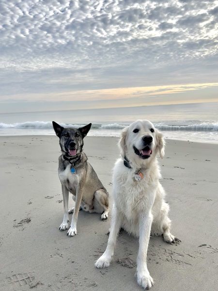 Rin & Charlie 