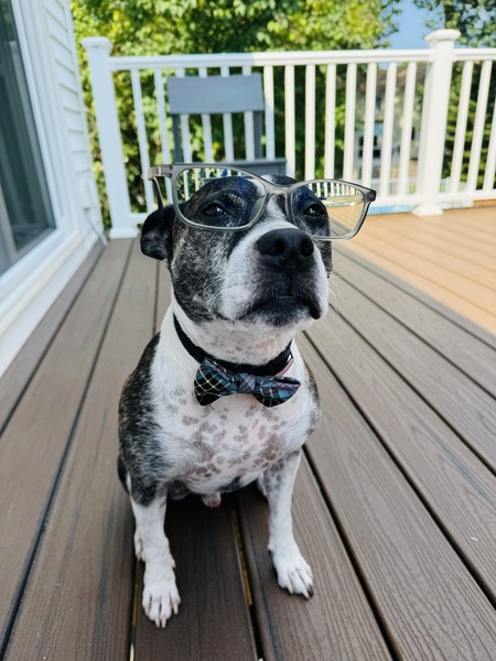 Jack