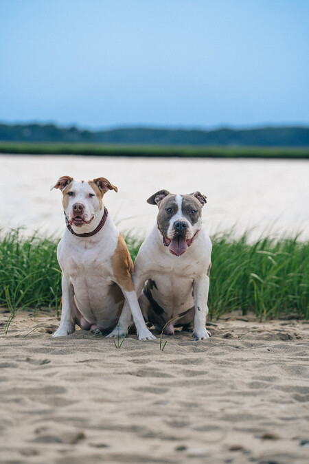 Greta & Truman Cohen 