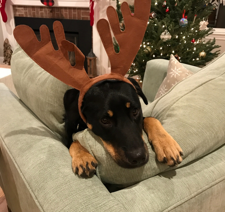 Bailey Bones
