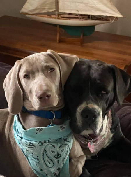 Bella & Lucy