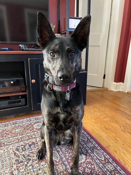 Twyla