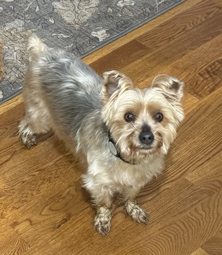 Ralphie