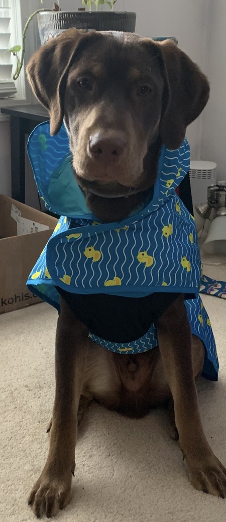 Dezel (pronounced like Diesel)