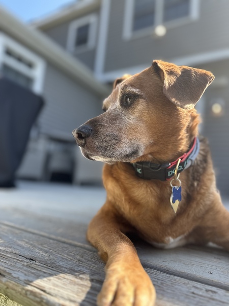 Duke