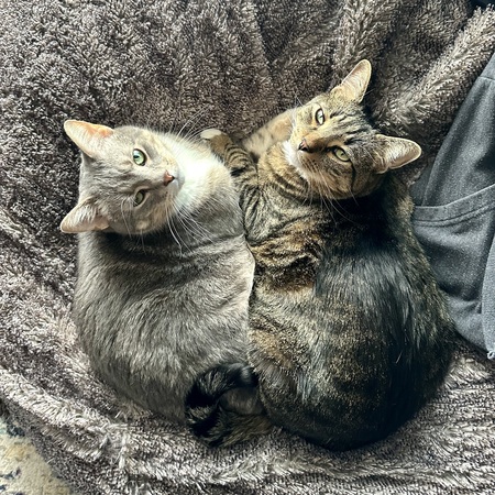 Otis & Ernie