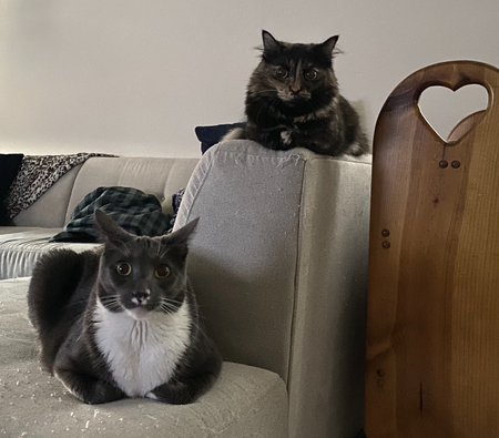 Tubby & Binx