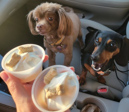 Toby and Pippi