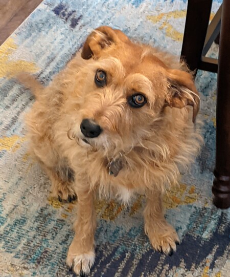 Penny
